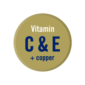 4528_Macushield_Icon_Vitamin C&E and copper_Gold_web