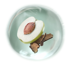 Nizoral_SG_DDCwebsite_how-dd-works-ic