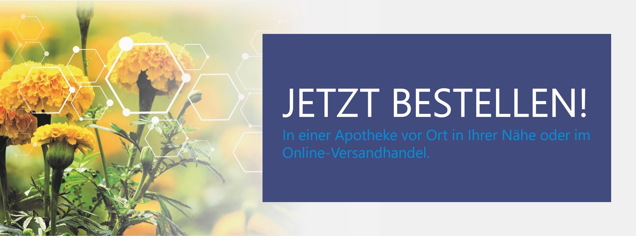 Germany website images