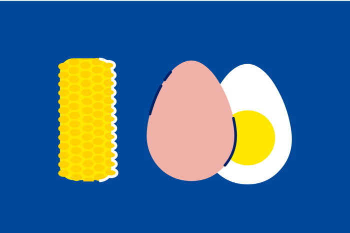 4528_Macushield_Graphic_Corn and egg_web