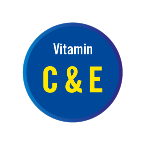 4528_Macushield_Icon_Vitamin C and E_Blue_web