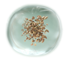 Nizoral_SG_DDCwebsite_how-dd-works-ic