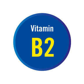 4528_Macushield_Icon_Vitamin B2_Blue_web