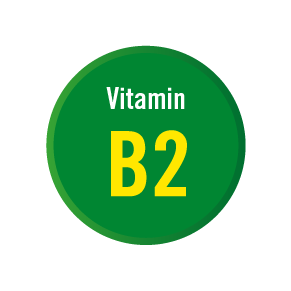 4528_Macushield_Icon_Vitamin B2_Green_web